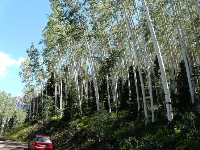 Owl Creek Pass RoAD