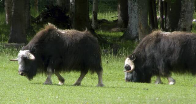 Alaska Photo