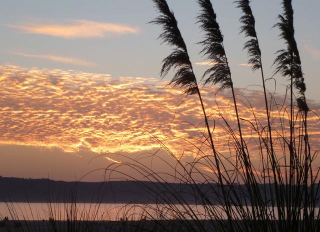 San Diego Sunset