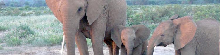Travel photos, Africa
